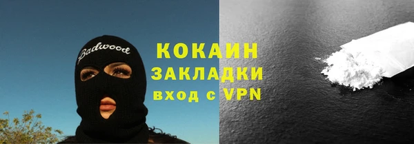 PSILOCYBIN Балабаново