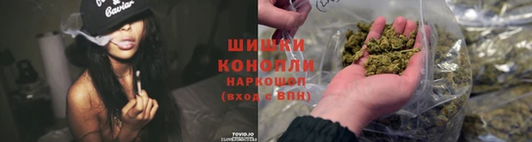 PSILOCYBIN Балабаново