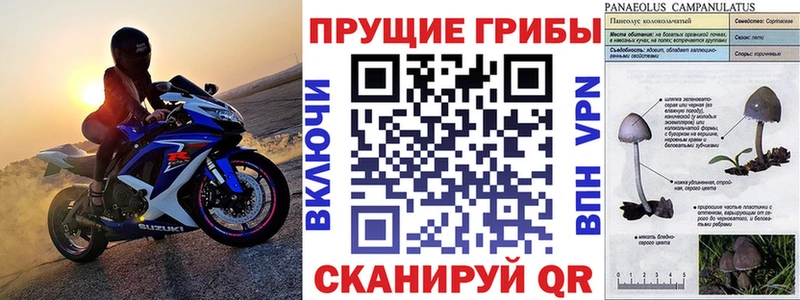 Галлюциногенные грибы прущие грибы Вязники