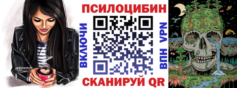 как найти наркотики  Вязники  Псилоцибиновые грибы прущие грибы 